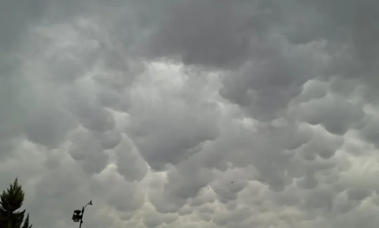 Alerta en Chihuahua: pronostican lluvias fuertes, granizo y vientos de hasta 55 km/h