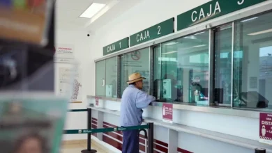 Bienestar no solo da dinero a adultos mayores y estudiantes: 3 programas sociales que pocos conocen