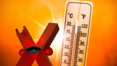 La ciudad alcanzó 41 grados y una sensación térmica de 43, mientras habitantes buscaron sombra, agua y lugares con aire acondicionado.
