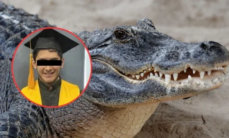 El joven de 28 años, originario de la Ciudad de México, perdió la vida después de ser arrastrado por un reptil mientras vacacionaba en una playa de Jalisco.