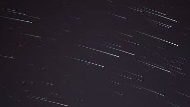Las Delta Acuáridas del Sur alcanzarán su pico entre la noche del 30 y la madrugada del 31 de julio, aunque la Luna casi llena dificultará la observación.