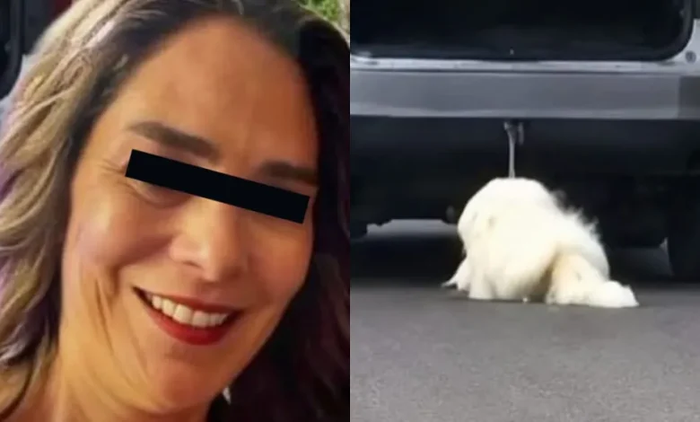 La Fiscalía de Coahuila la señala como presunta responsable de arrastrar al perro de 14 años con una camioneta; permanece en prisión preventiva.