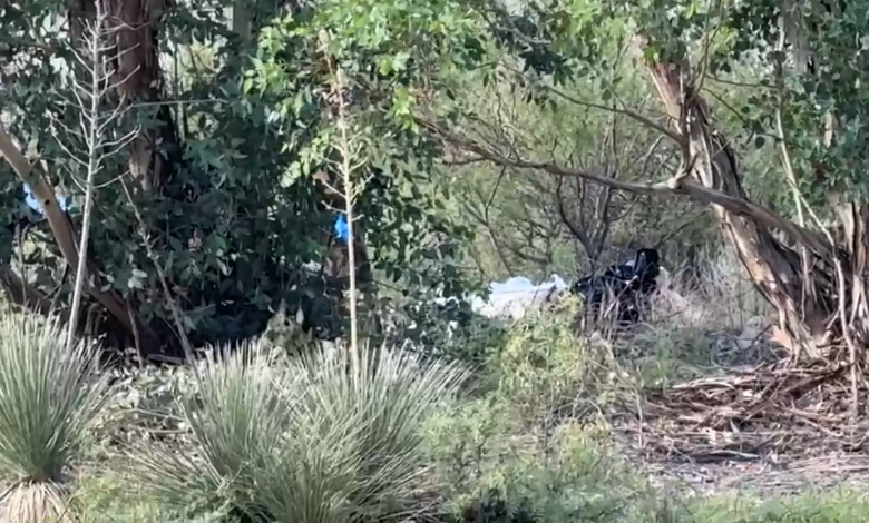 Localizan cuerpo envu3lto en bolsas en el poblado de San Isidro