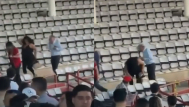 Lo que era una tarde de béisbol terminó en caos... 19 aficionados fueron atacados por abejas