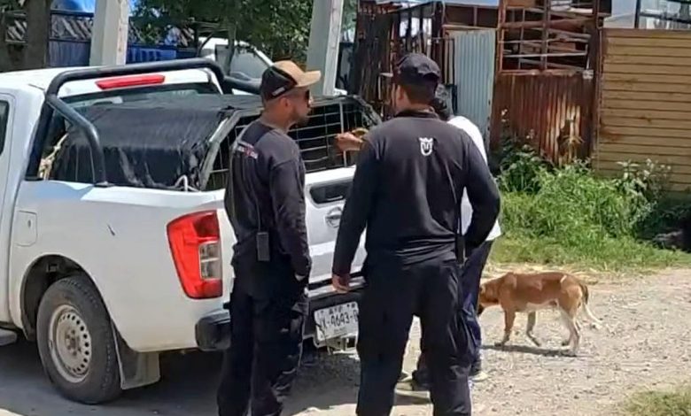 Personal de Protección Animal atiende el caso de un perro involucrado en un ataque contra una mujer en Zapopan
