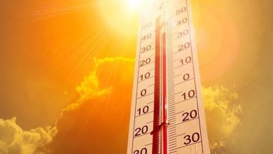 El pronóstico anticipa cielo mayormente despejado, probabilidad de lluvia de 0 por ciento y viento de hasta 22 kilómetros por hora.