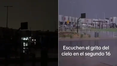 Un video difundido en TikTok registra un ruido que usuarios compararon con un grito; el material, por sí solo, no permite determinar su origen.