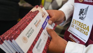 Calendario del registro Apoyo Bienestar para personas de 30 a 64 años en agosto de 2026