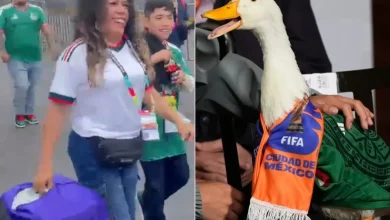 Usuarios detectaron una figura asociada con corrientes esotéricas en un video del pato viral y comenzaron las especulaciones.