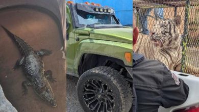 Autoridades durante el operativo en un autolavado de la colonia Ampliación Fronteriza en Ciudad Juárez