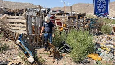 Operativo de rastreo en un predio cercano al Periférico Camino Real de Ciudad Juárez