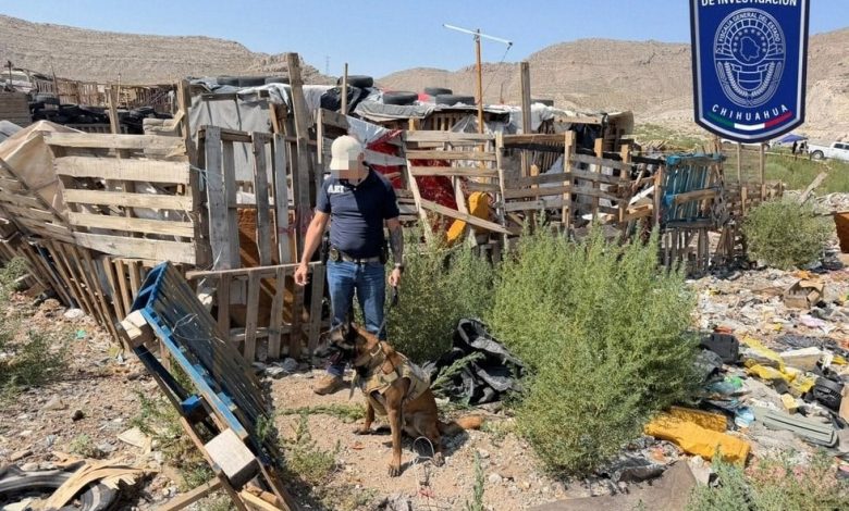 Operativo de rastreo en un predio cercano al Periférico Camino Real de Ciudad Juárez