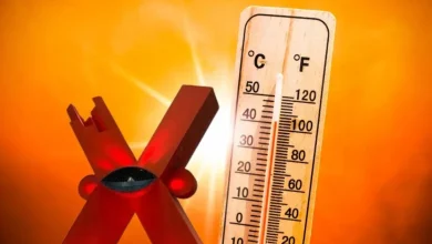 Alertan por calor extremo en Chihuahua; piden proteger a niños, adultos mayores y mascotas
