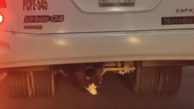 Parte inferior de un autobús de transporte de personal donde fue localizado un menor en Querétaro