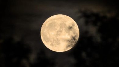 Luna llena de octubre observada cerca del horizonte con apariencia grande y tonalidad anaranjada